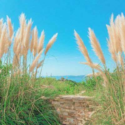 江南app手机app下载截图