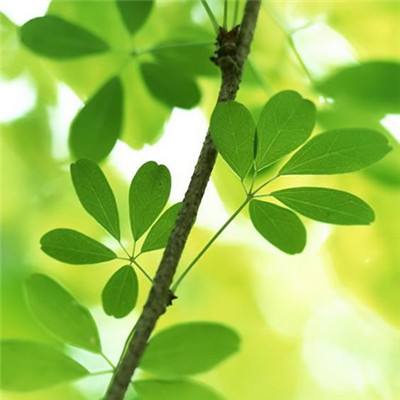 江南APP下载手机版