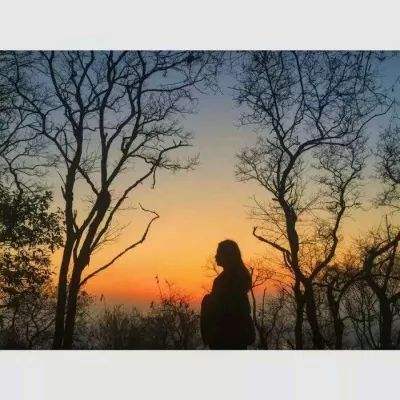 leyu·乐鱼app下载