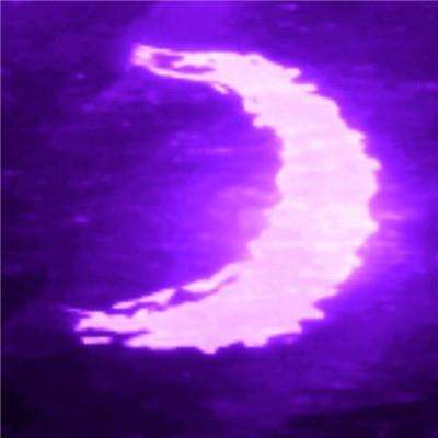 九游会演示计划截图