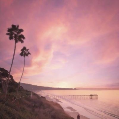 天成彩票手机app下载