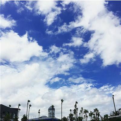 ManBetX客户端登录手机app下载