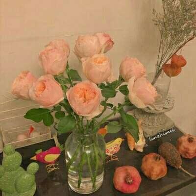 赛博体育手机app下载