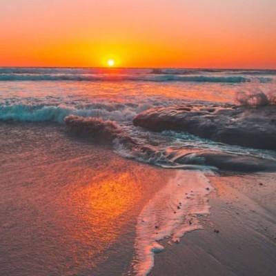 星空体育APP手机app下载