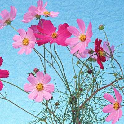 爱游戏官方下载手机版