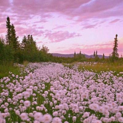 ag真人平台官方