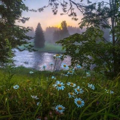 金年会app官方下载